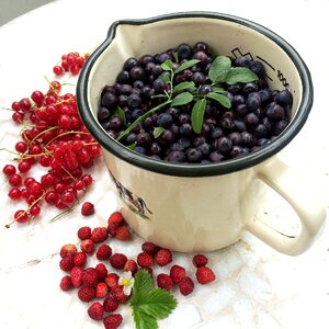 Wild blueberries superbar organic