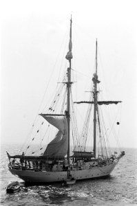 De Falken, Bestanddeelnr 928-0999