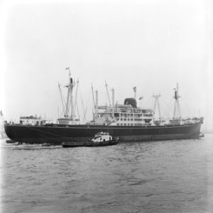 De haven van Rotterdam, Bestanddeelnr 916-3376