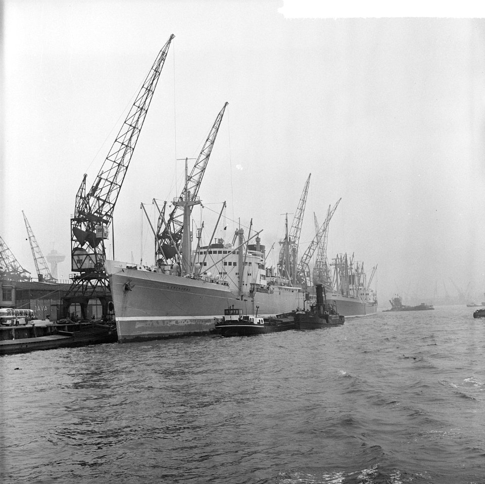 De haven van Rotterdam, Bestanddeelnr 916-3365