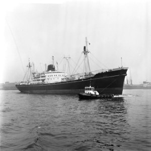 De haven van Rotterdam, Bestanddeelnr 916-3362
