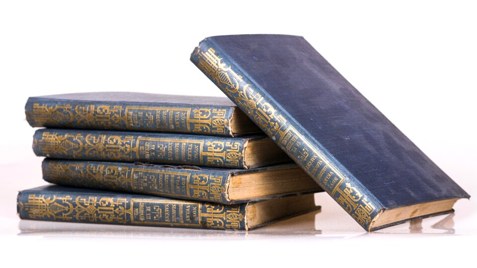 Page foliage yellowed