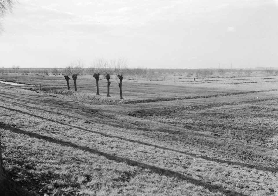 De Dellen (Sprang-Capelle), Bestanddeelnr 159-0842