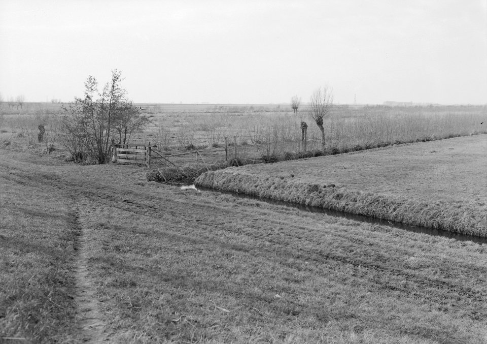 De Dellen (Sprang-Capelle), Bestanddeelnr 159-0841