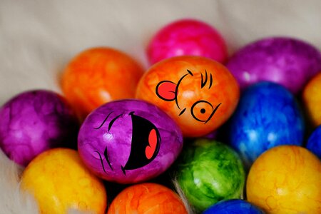 Easter easter eggs easter nest photo