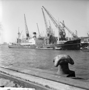 De haven van Rotterdam, Bestanddeelnr 916-3356