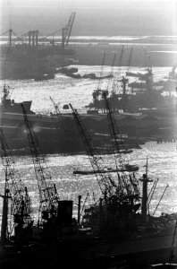 De haven van Rotterdam, Bestanddeelnr 916-3398