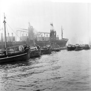 De haven van Rotterdam, Bestanddeelnr 916-3361