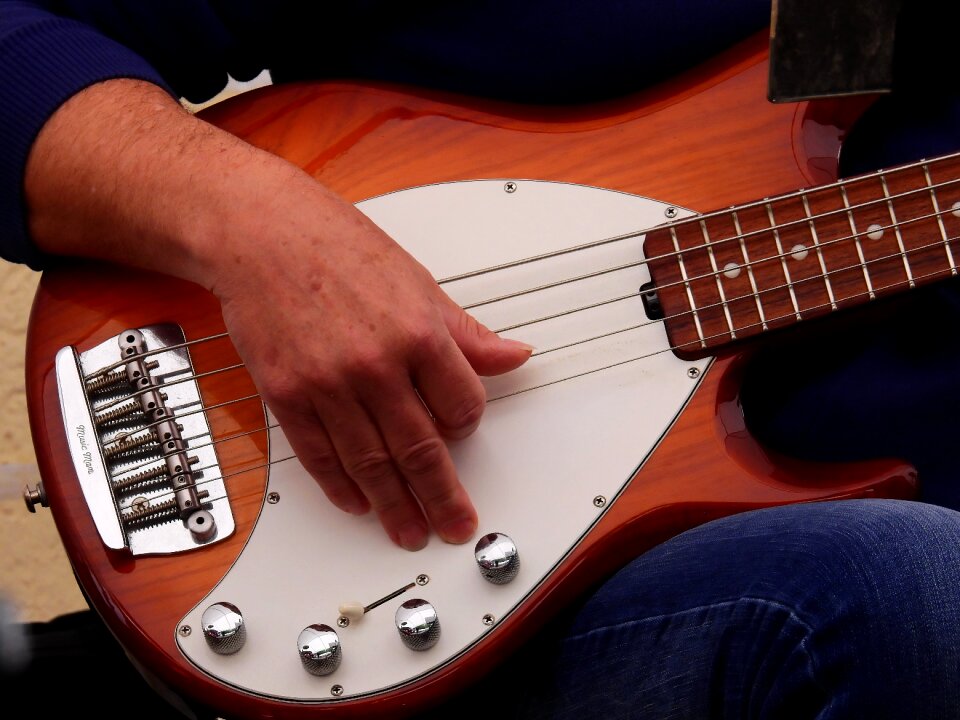 Musician musical instrument entertainment