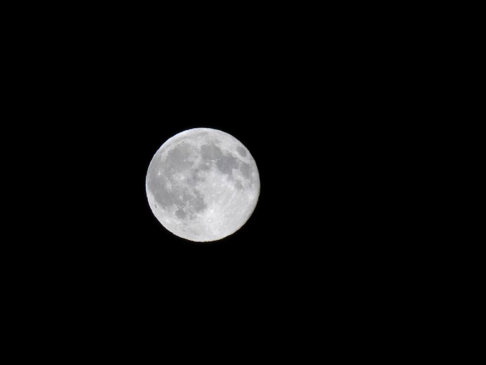 Black midnight lunar
