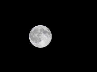 Black midnight lunar