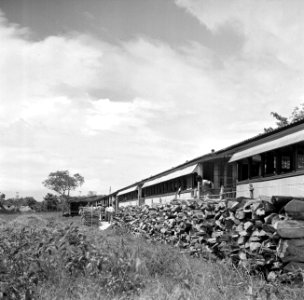 De goudveldentrein bij Kabelstation, Bestanddeelnr 252-5986