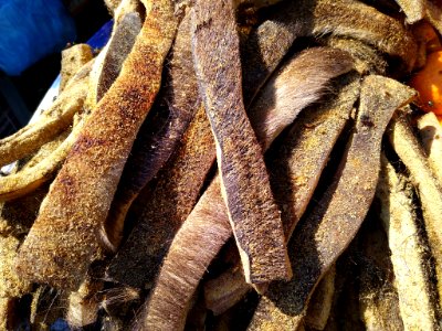 Dried buffalo skin 1