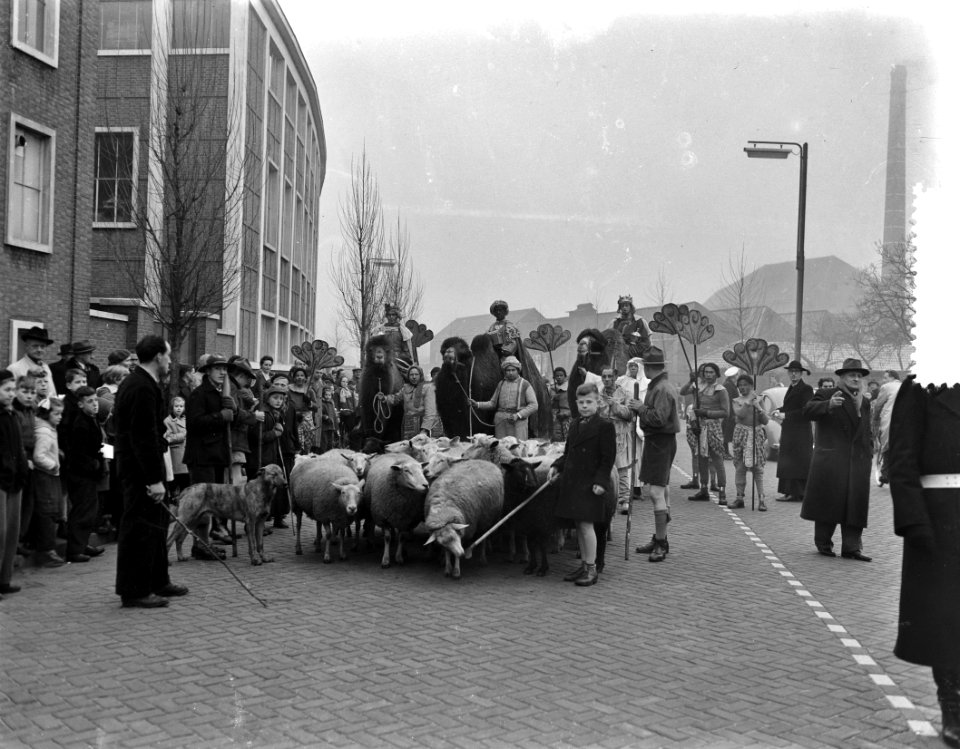 Driekoningenoptocht in Eindhoven, Bestanddeelnr 907-5265