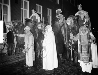 Driekoningenoptocht op kamelen door Eindhoven, Bestanddeelnr 906-9241