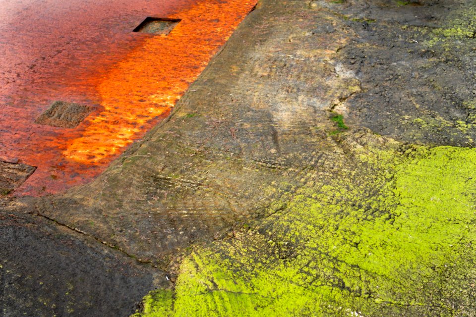 Dried algae and rusty plate on a boat ramp in Govik