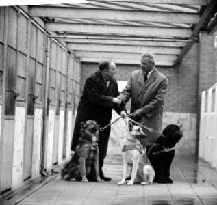 Drie honden in vorm van geld door de spaarbank van de stad Amsterdam overgedrage, Bestanddeelnr 914-4617 photo