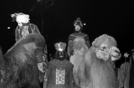 Drie Koningen intocht in Den Bosch, Bestanddeelnr 921-9909