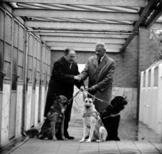 Drie honden in vorm van geld door de spaarbank van de stad Amsterdam overgedrage, Bestanddeelnr 914-4616