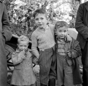 Drie broertjes uit een Tinker-familie, Bestanddeelnr 191-0829 photo