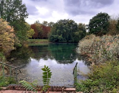 Dreiecksteich HAL-Neustadt