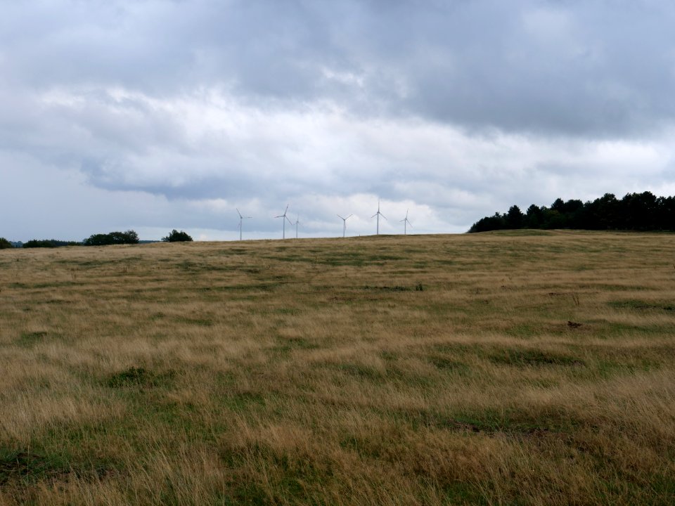 Dreiborner Hochfläche in September 2019 42