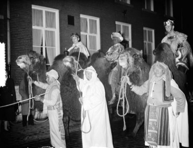 Driekoningenoptocht op kamelen door Eindhoven, Bestanddeelnr 906-9242