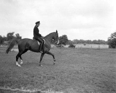 Dressuurrijden Kampioenschappen Nederland Prins Bernhard (tweede) in actie, Bestanddeelnr 907-9881