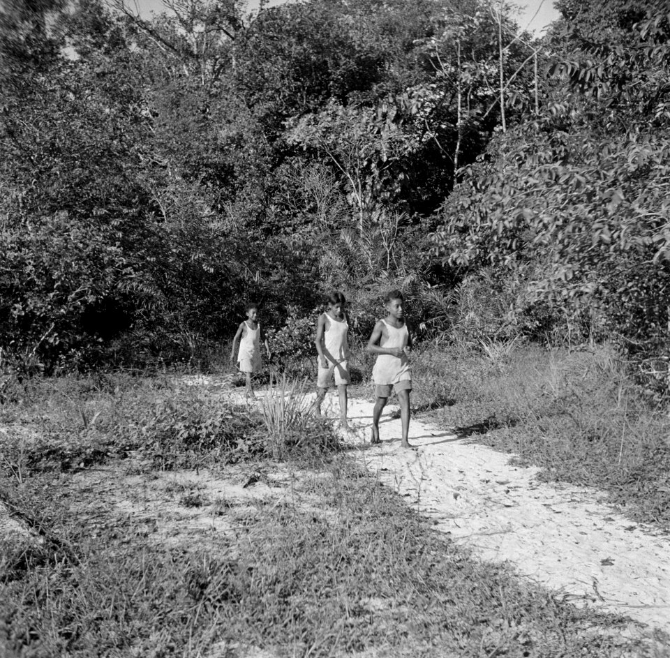 Drie jongens op het Cordonpad op het terrein van de voormalige Jodensavanna, Bestanddeelnr 252-6461