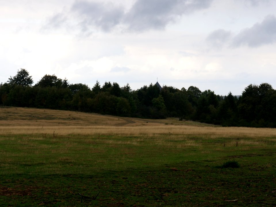 Dreiborner Hochfläche in September 2019 63