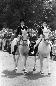 Dressuur-kampioenschappen van Nederland ( mejuffrouw A van Doorn en T van Doorn, Bestanddeelnr 914-1762
