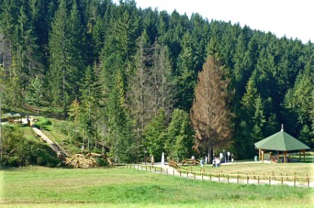 Dreiländereck-Jaworzynka