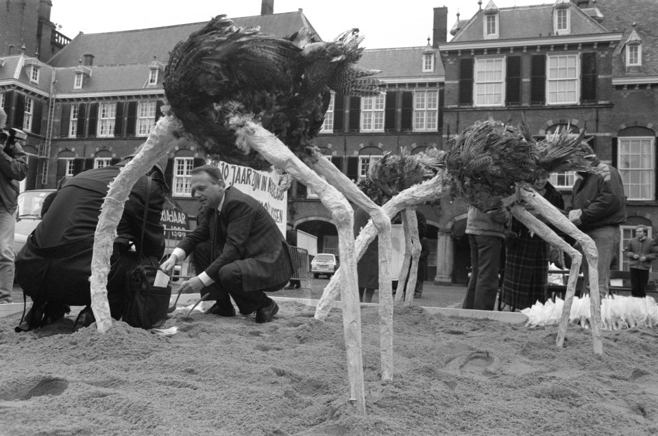 Drs. Dorenbos van Rainbow Instituut met namaakstruisvogels op Binnenhof, Bestanddeelnr 934-3745