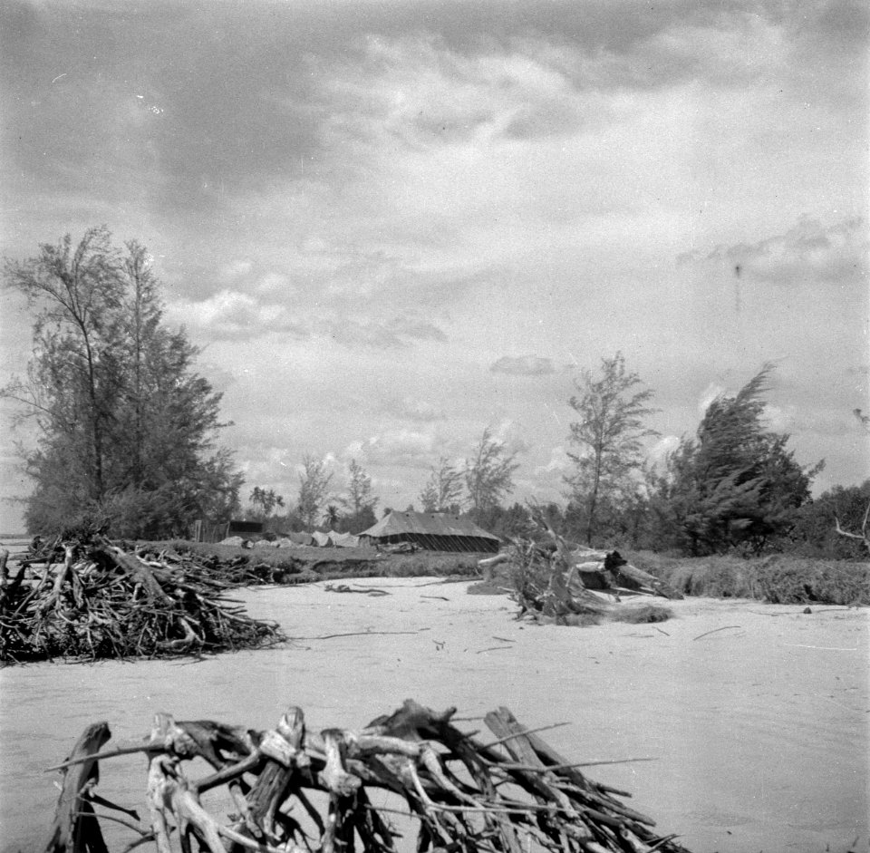 Drijfhout in een rivier bij de bivak op Java, Bestanddeelnr 254-5362