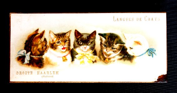 Droste Langues de Chats doosje met 5 kattekopjes, foto 1