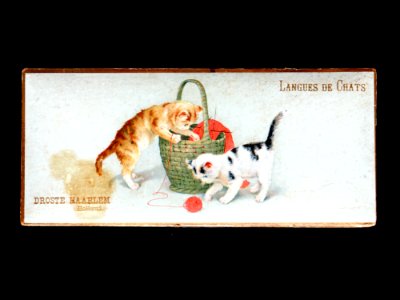 Droste Langues de Chats doosje met 2 katjes, foto 1