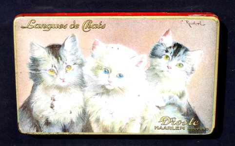 Droste Haarlem, Langues de Chats blikken doosje