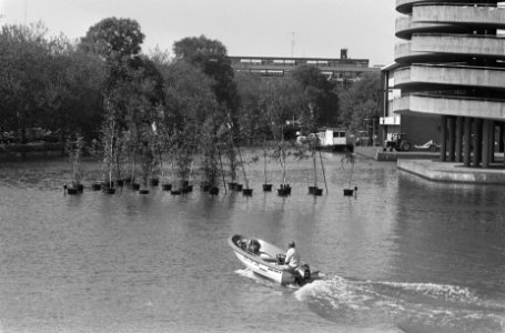 Drijvend kunstwerk Birnamwood van kunstenaar Wouter de Baat in water Nassaukad, Bestanddeelnr 934-4578