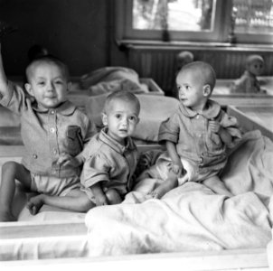 Drie peuters in een bed, Bestanddeelnr 900-4895