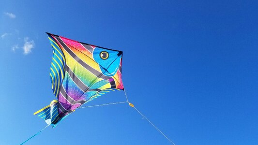 Kite jacksonville florida