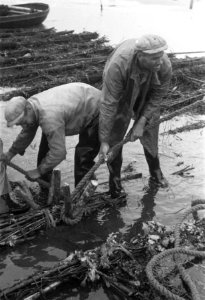Droogmaking Walcheren, Bestanddeelnr 901-3149