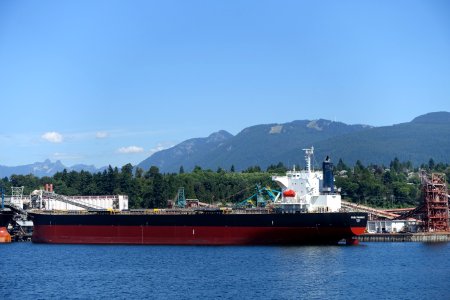 Double Prosperity, IMO 9316658 - Vancouver, Canada - DSC09368