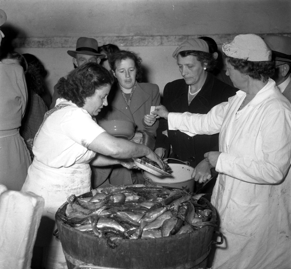 Drie oktober Leiden haring en wittebrood, Bestanddeelnr 904-7893
