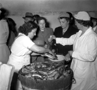 Drie oktober Leiden haring en wittebrood, Bestanddeelnr 904-7893