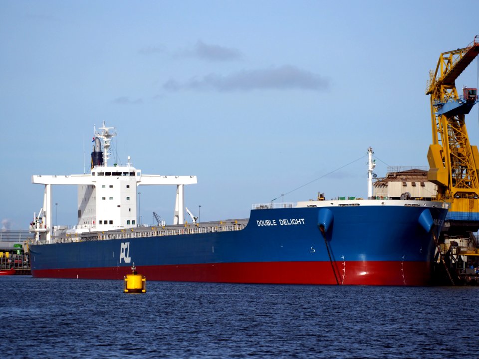 Double Delight IMO 9738806 Port of Amstefdam pic1