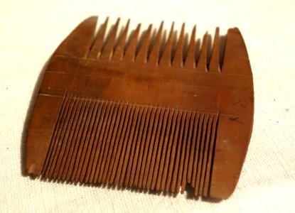 Double-sided comb, Egypt, The Fayum, 30 BC - 642 AD, wood - Albany Institute of History and Art - DSC08207