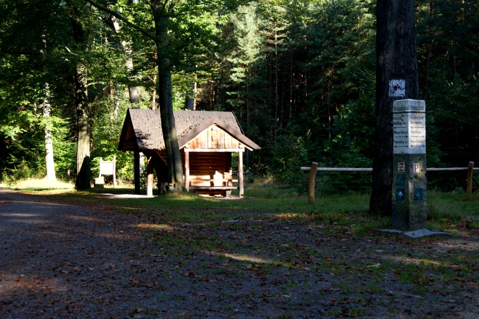 Dresdner heide königsplatz1
