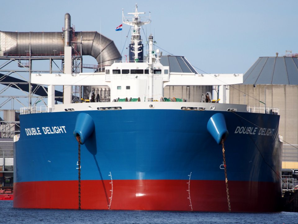 Double Delight IMO 9738806 Port of Amstefdam pic2