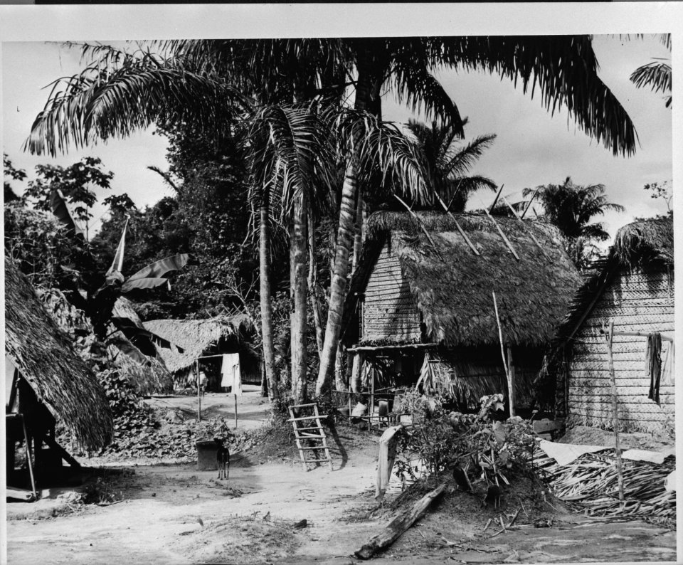 Dorp Guyaba. Marrondorp in Suriname, Bestanddeelnr 935-1300