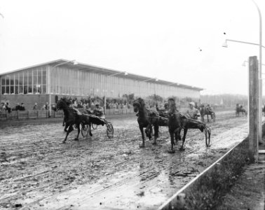 Draverijen Hilversum, Bestanddeelnr 906-2402